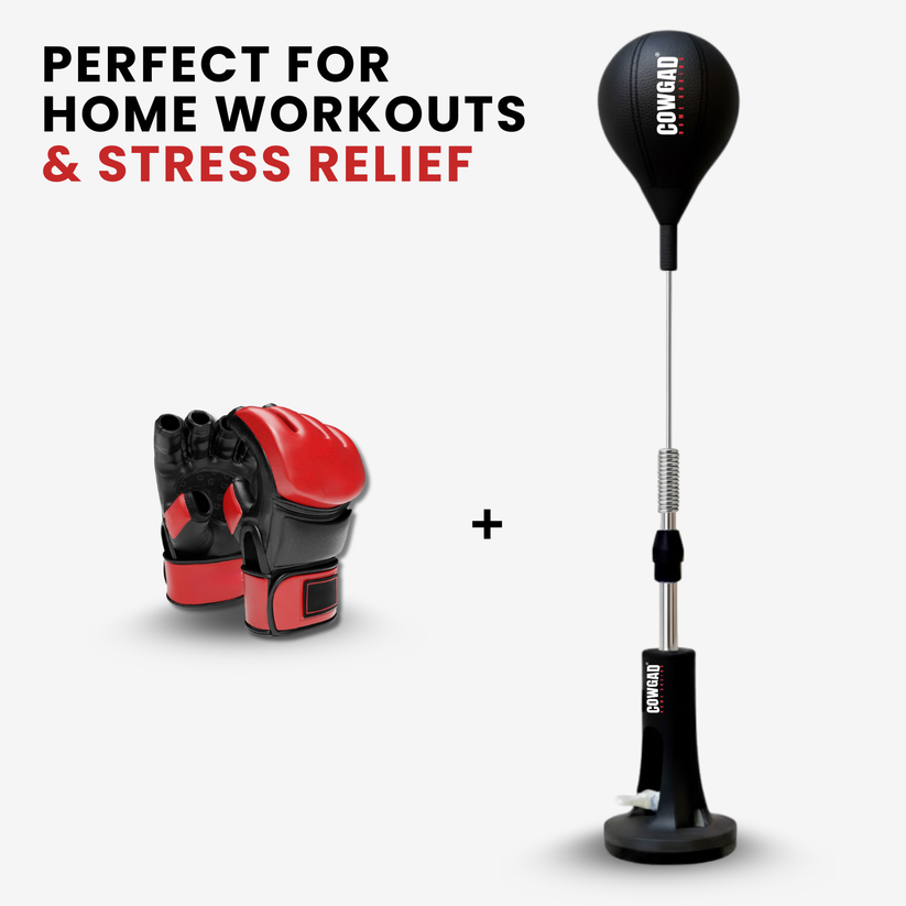 Zilo Boxing Pro