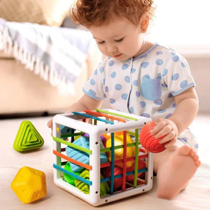 Zilo Box - Educational Box