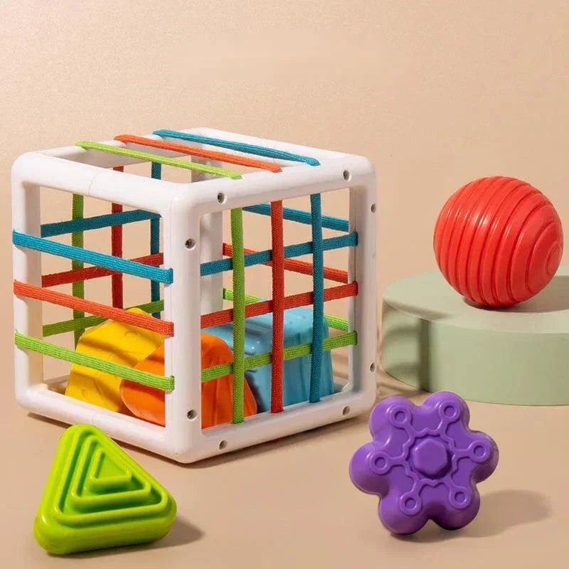 Zilo Box - Educational Box