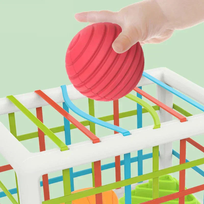 Zilo Box - Educational Box