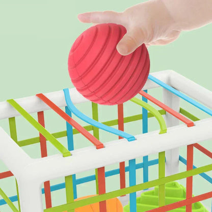 Zilo Box - Educational Box