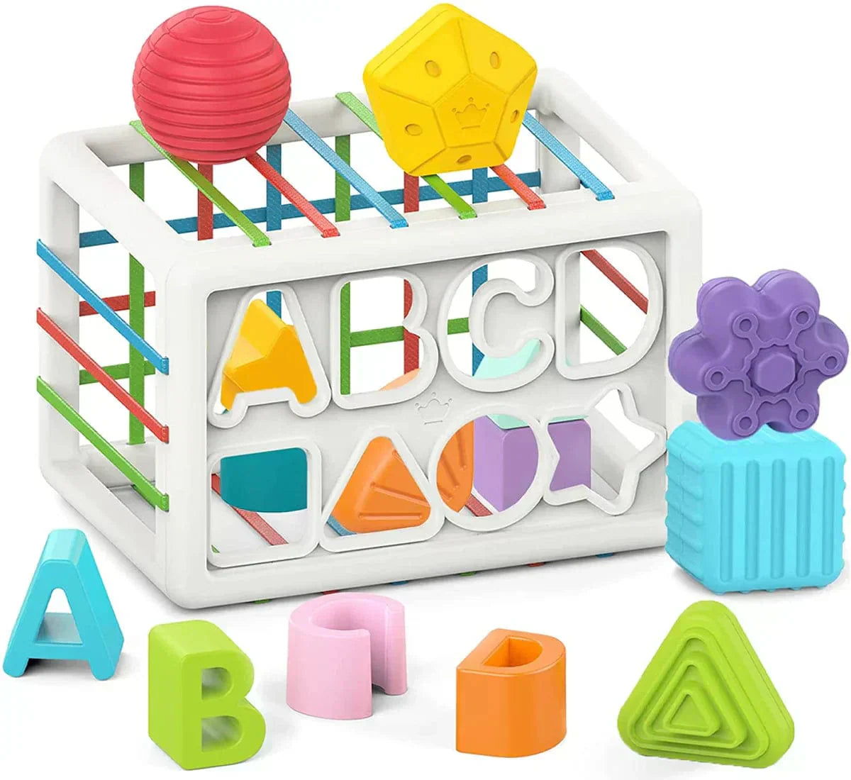 Zilo Box - Educational Box