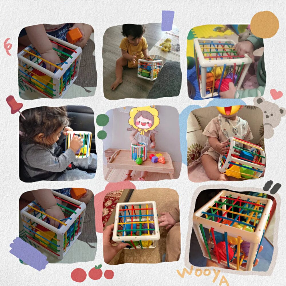 Zilo Box - Educational Box