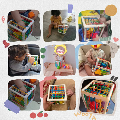 Zilo Box - Educational Box